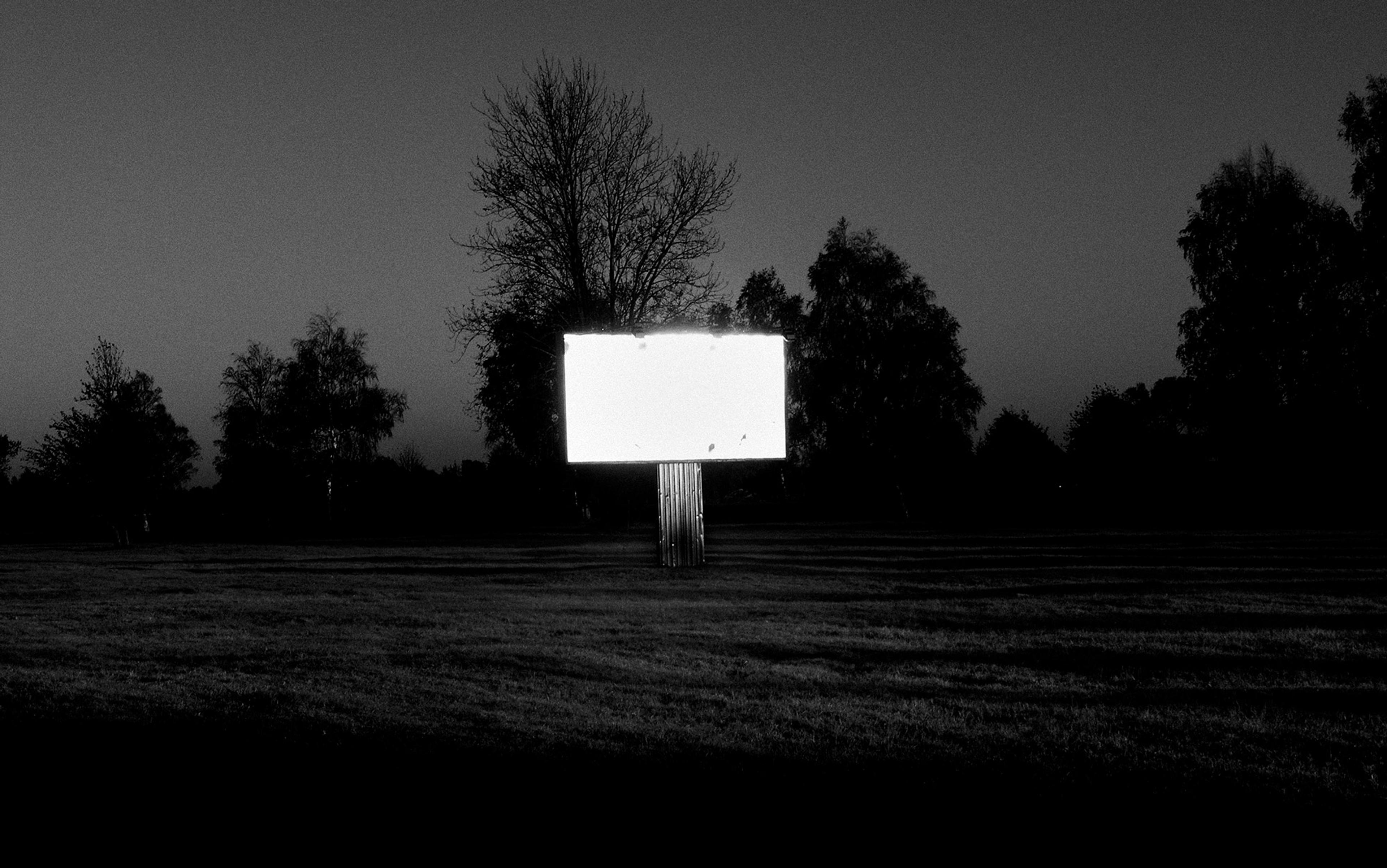A blank billboard illuminated at night in a dimly lit open field, surrounded by dark trees and a clear sky.